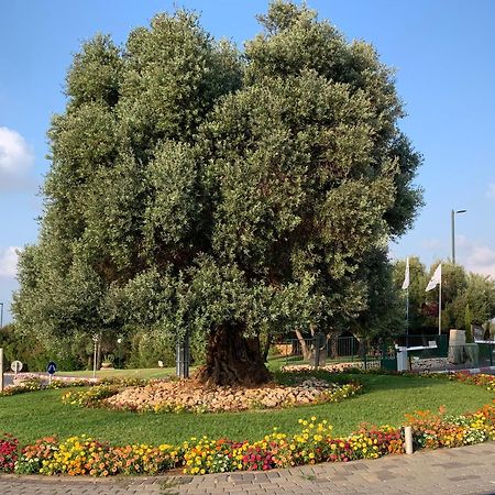 Mina'S Suites - קיסריה المظهر الخارجي الصورة